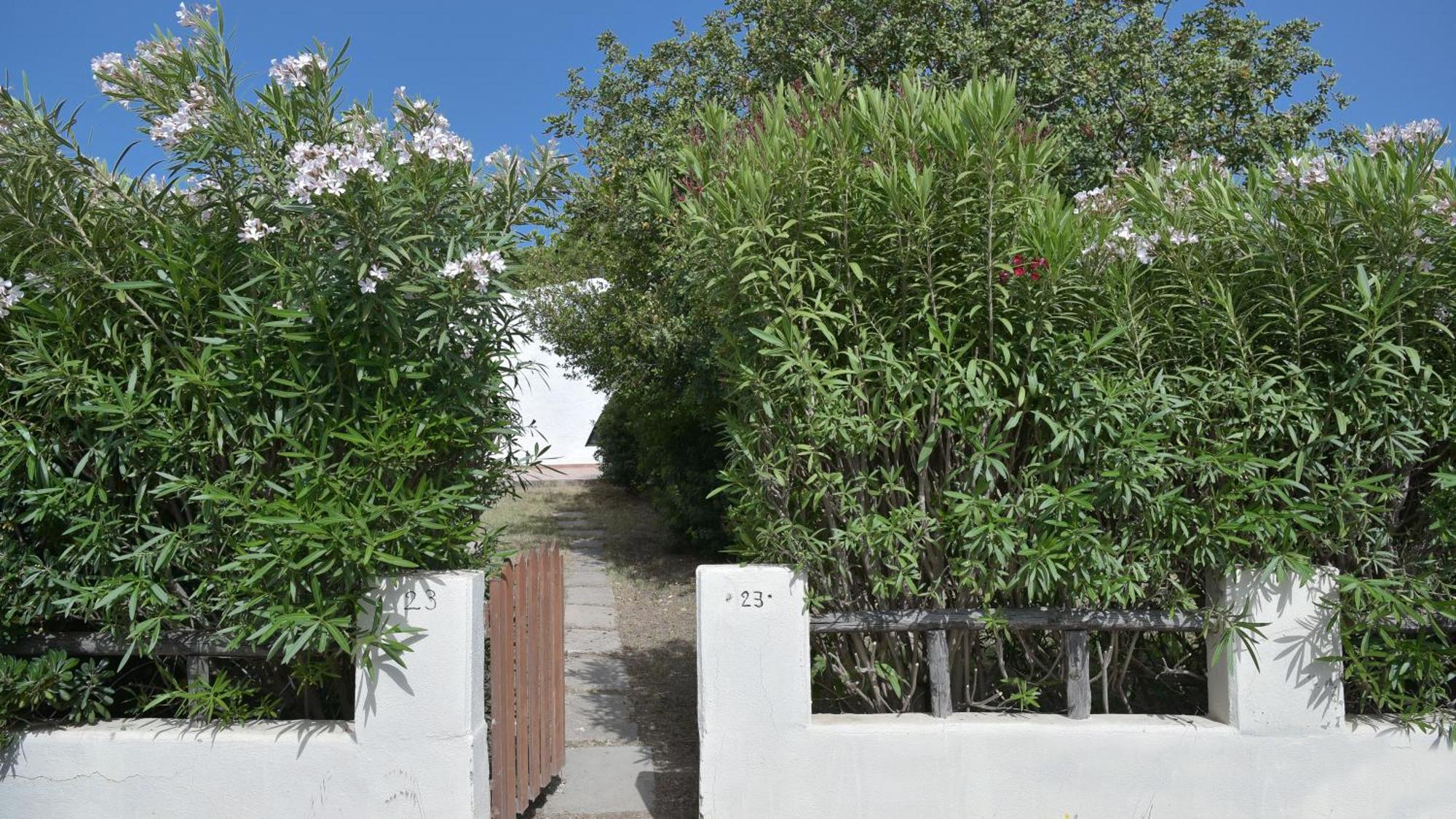 Welcomely - Villa Adele Costa Rei Εξωτερικό φωτογραφία